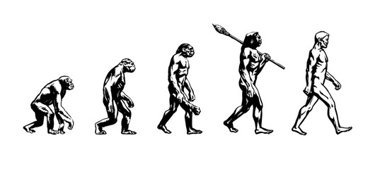 Evolution of man