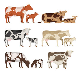 Vector cow and calf collection © Vlad Klok