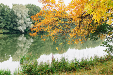 Autumn Landscape. Lake in colorful autumn park.