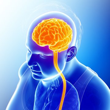 Illustration of man's brain and spinal cord on blue background