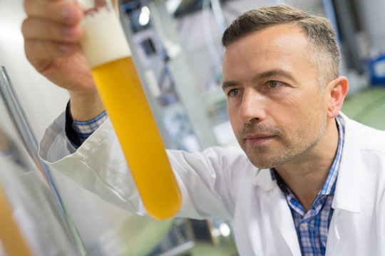 manufacturer examining beer in test tube at brewery