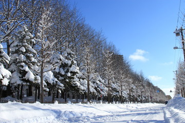 Snow scenery in Sapporo city, Hokkaido