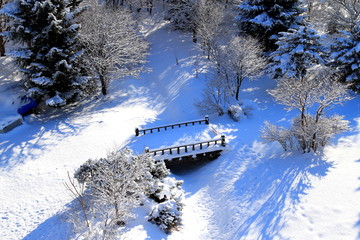 Snow scenery in Sapporo city, Hokkaido