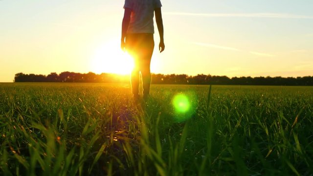 Female legs in jeans walking on a green lawn against a sunset background. Solar glare.