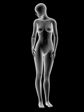 Female body, artwork