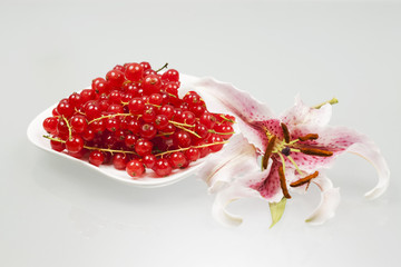 Red currants on a white plate with white background
