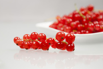 Red currants on a white plate with white background
