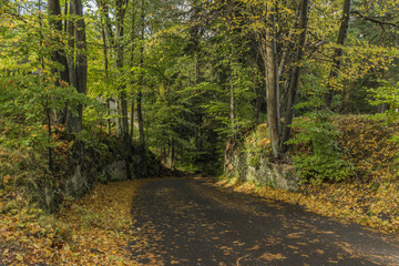 Road near Rynartice village in autumn sunny day