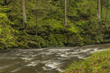 Chribska Kamenice river in national park Ceske Svycarsko