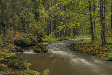 Chribska Kamenice river in national park Ceske Svycarsko