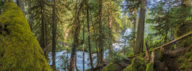 Panorama Of MOss Forest Below Sahalie Falls