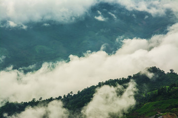 Morning Mist with Mountain ,sea of mis © meen_na