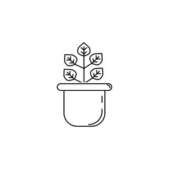 plant in the pot icon