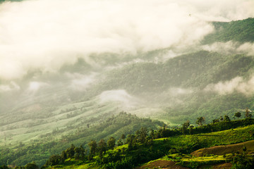 Morning Mist with Mountain ,sea of mis