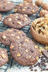 Homemade chocolate cookies with walnuts and chocolate chips on cooling rack, vertical