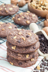 Homemade chocolate cookies with walnuts and chocolate chips on table and cooling rack, vertical