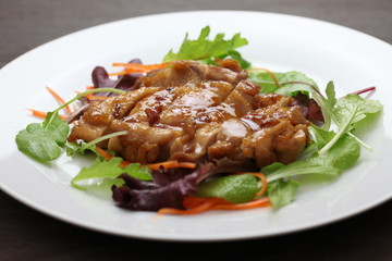 鶏肉の照り焼き