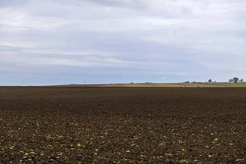 Fototapeta premium Harvested agricultural field strewn with autumn leaves