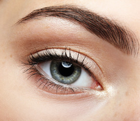 Obraz premium Closeup macro portrait of female face. Human girl eye with day beauty makeup. Woman with perfect skin and freckles