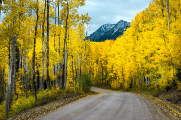 Naklejka premium Kebler Pass Road, Colorado