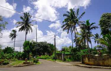 Fototapeta premium Rural road in Mauritius Island