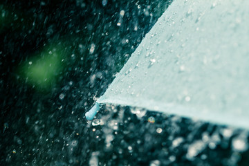 selective focus for close up a part of umbrella which has Rain drops falling , shallow DOF