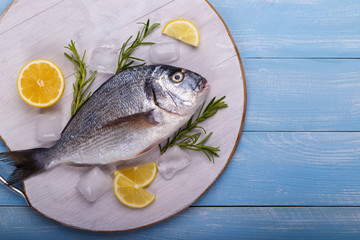 Fresh raw sea bream