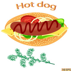 Hot dog. Delicious hot dog with ketchup. Tasty hot dog with sausage, cheese, tomato, lettuce, parsley. Fast food. Vector illustration.