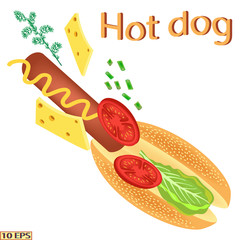 Hot dog. Delicious hot dog with ketchup. Tasty hot dog with sausage, cheese, tomato, lettuce, parsley. Fast food. Vector illustration.