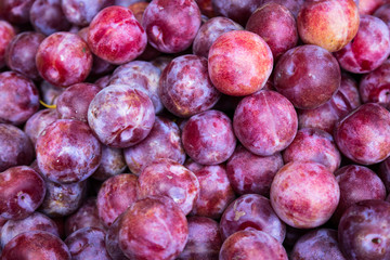 Organic Plums at a Local Farmer's Market