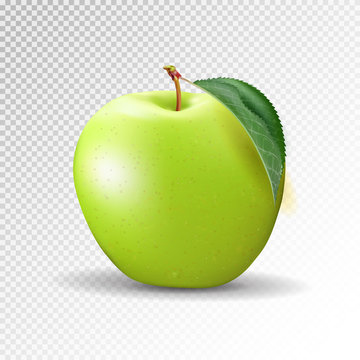Perfect Fresh Green Apple Isolated on transparent background. Vector, 3D