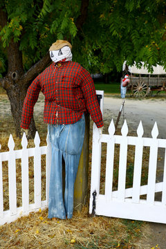 Hanley Farm scarecrows