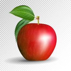 Red apple on transparent background. Vector, 3D