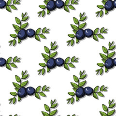 Blueberry Pattern 21