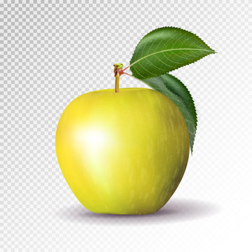 Yellow apple isolated on transparent background. Vector, 3D