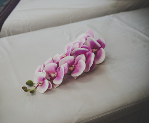 Fototapeta na wymiar orchids flower at spa salon.