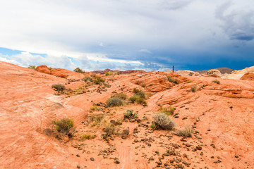 amazing sandstone shapes at valley of fire national park, nevada