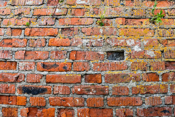 Wall of old red brick with remains of light-coloured plaster.
