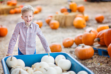 kid at pumpkin patch