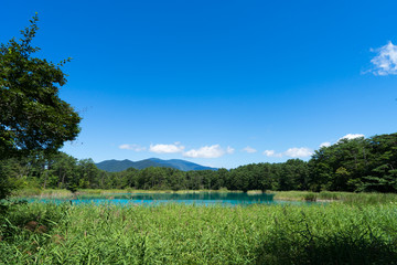 五色沼の弁天沼のイメージ
