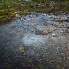 The rapid flow of the mountain river.