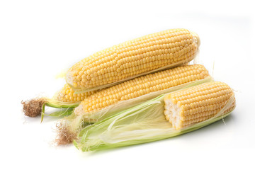 Maize