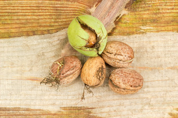 Several freshly harvested walnuts on a wooden surface