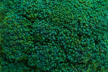 Close-up, broccoli texture.