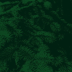 Vector background from green fir tree branch. Found for xmas card.