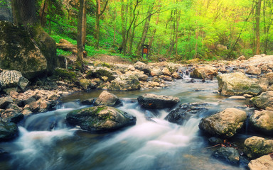 Naklejka na ściany i meble Forest stream / Beautiful motion blurred water stream landscape in a green bakony forest in Hungary