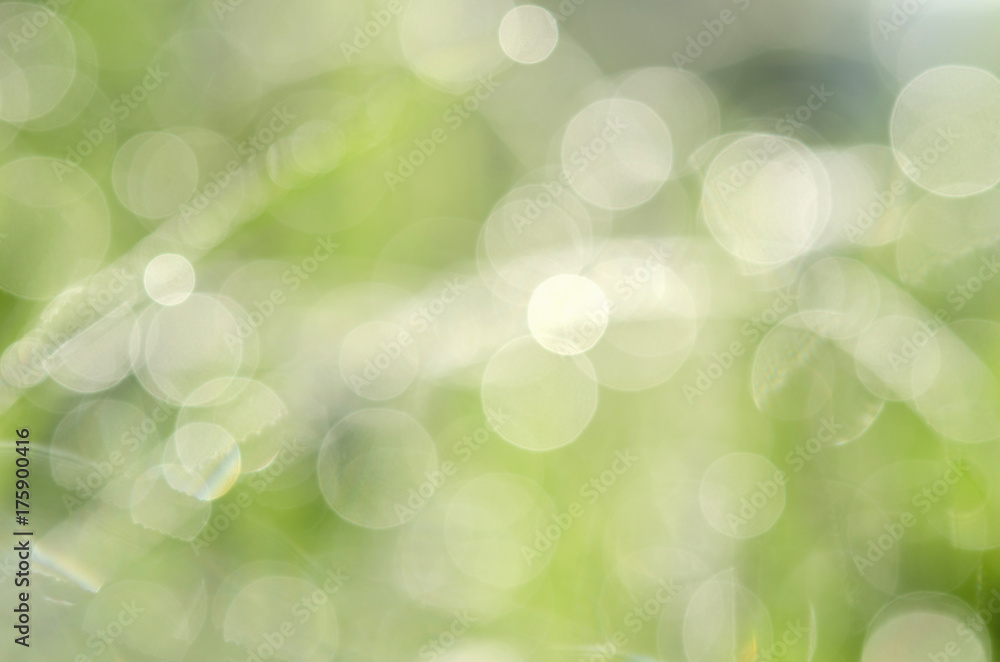 Wall mural spring green grass with bokeh dew drop background