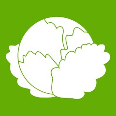 Cabbage icon green