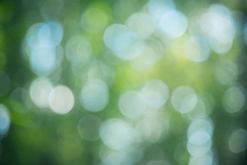 Obraz premium Defocused natural background.