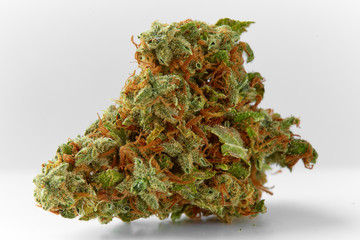 Close up of prescription medical marijuana Supreme Jack flower on white background